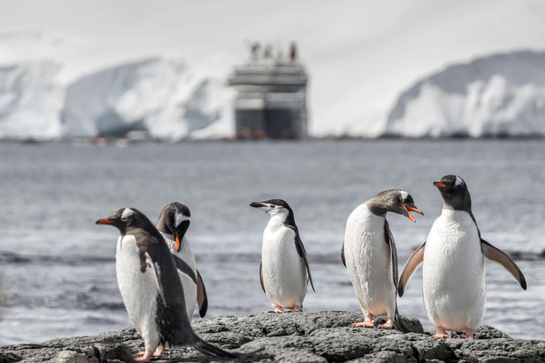 https://media.leisurecom.com/cruise/image-2026-01-30-15-11-30.webp