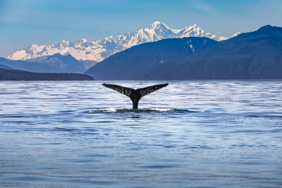 https://media.leisurecom.com/cruise/image-2026-07-02-14-47-22.webp