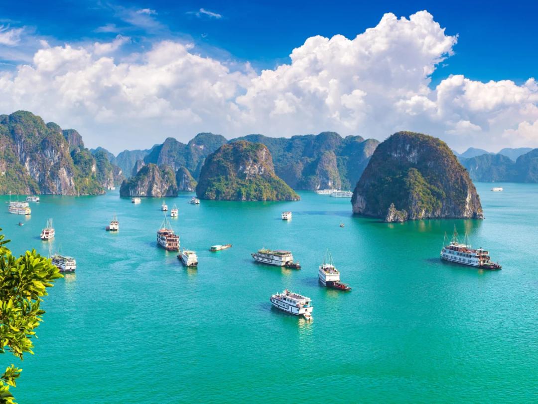 https://media.leisurecom.com/cruise/image-2026-07-28-14-19-45.webp