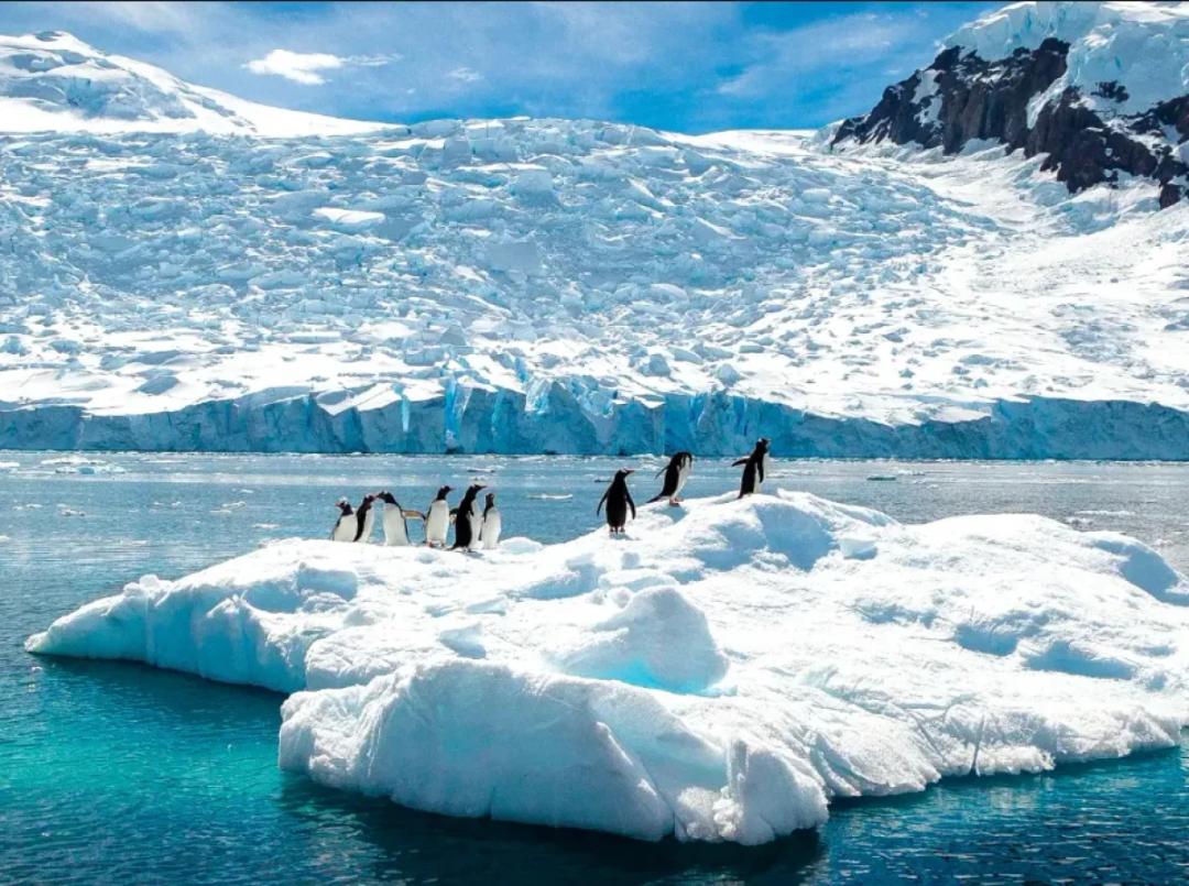 https://media.leisurecom.com/cruise/image-2026-08-14-15-43-45.webp