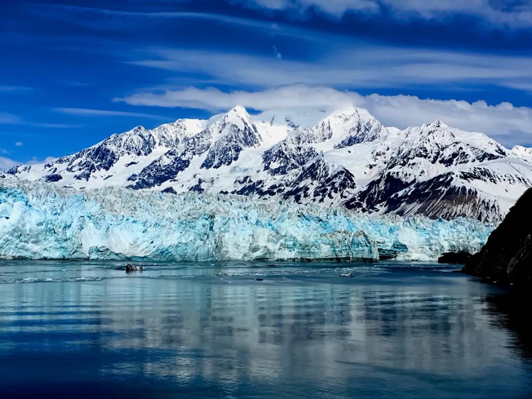 https://media.leisurecom.com/cruise/image-2026-08-25-15-46-11.webp