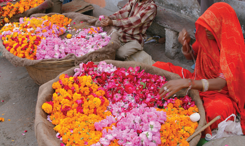 Kolkata and Lower Ganges Cruise