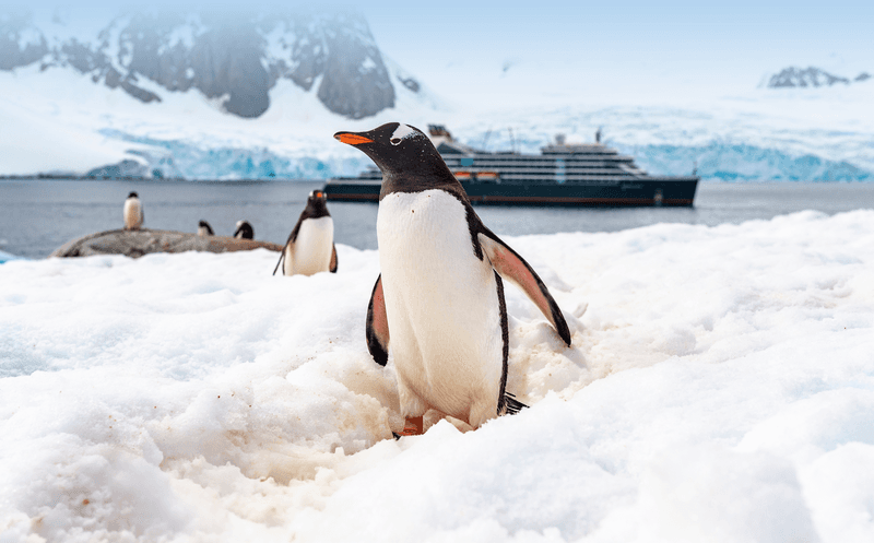 Antarctic Voyage with Chile and Brazil Highlights