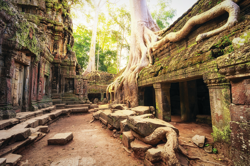 Vietnam and Cambodia Highlights