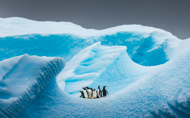 Antarctic Voyage