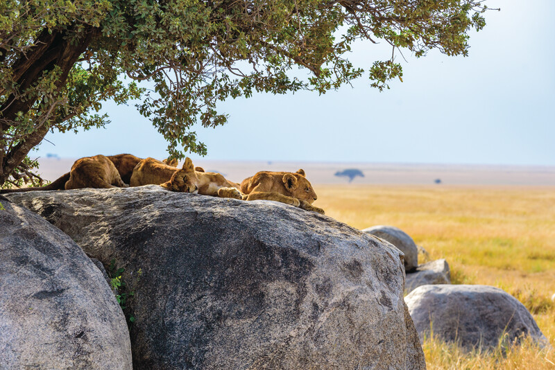 Contrasts of Africa
