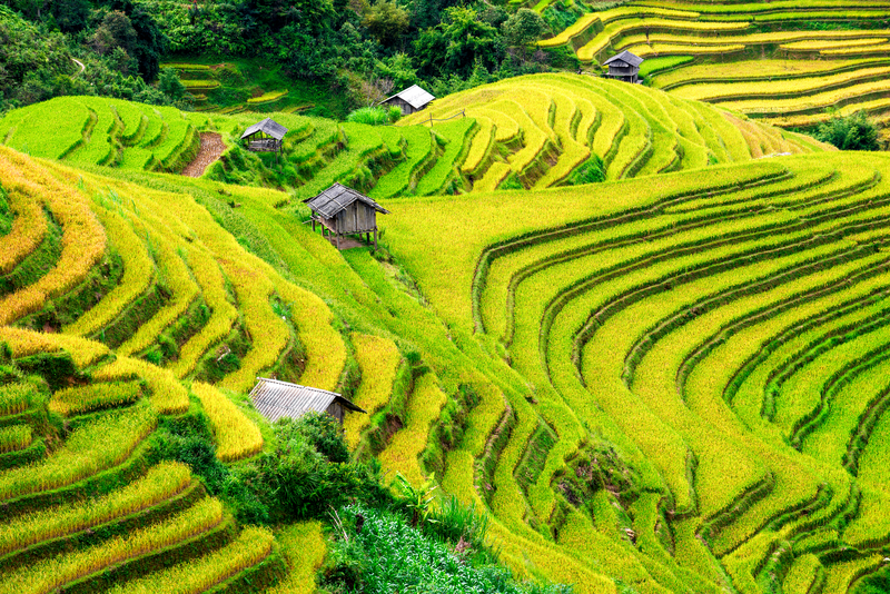 Vietnam and Cambodia Grand Tour