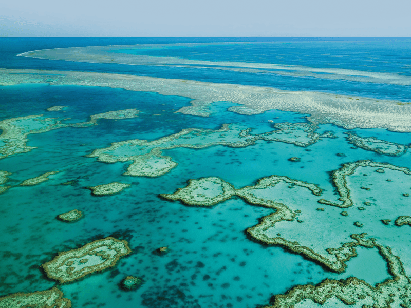 Great Barrier Reef Wonders