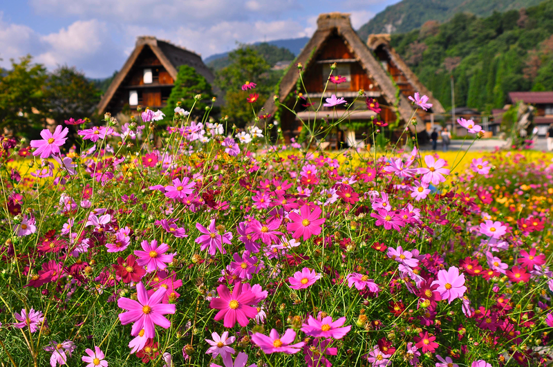 Ancient Kingdoms of Japan and South Korea 