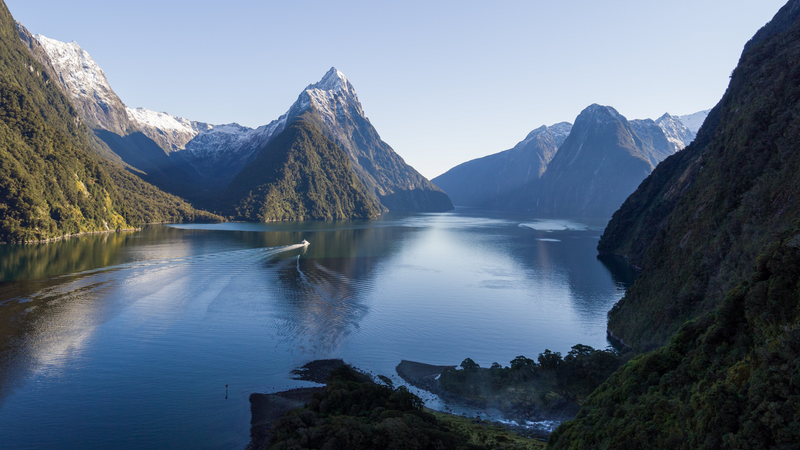 New Zealand Wonderland