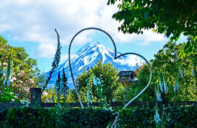 New Zealand’s Taranaki Garden Spectacular with New Zealand’s Gardens & Natural Wonders