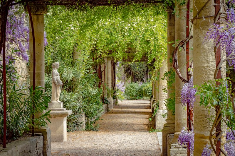 A Cruise of the Rhône & Saône Rivers – Wine, Roses & Ruins