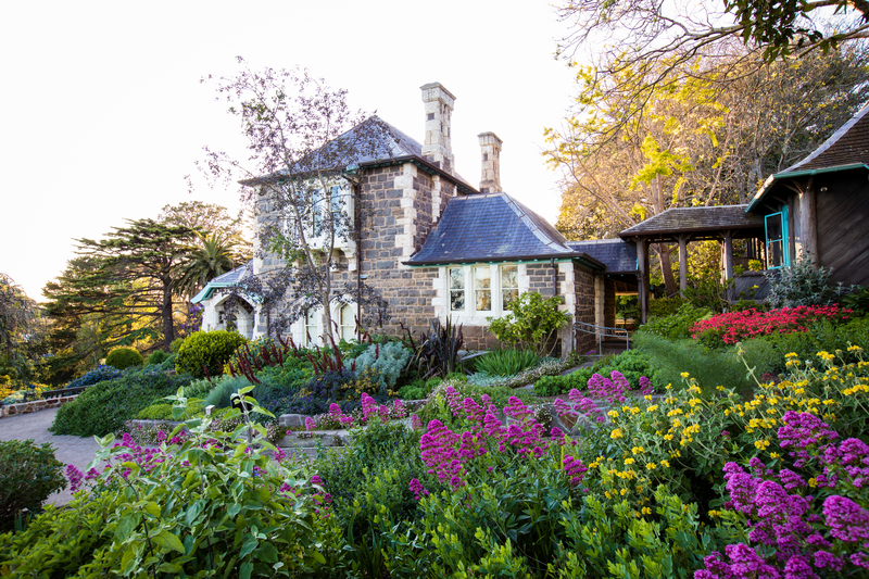 Exclusive to Diggers Club Members: Diggers Club Gardens in Spring