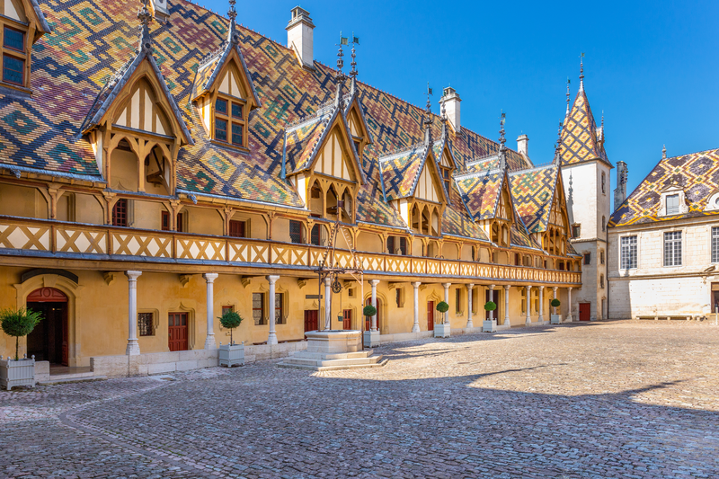 Renaissance Architecture, Heritage and Tastes of Burgundy by Canal Boat
