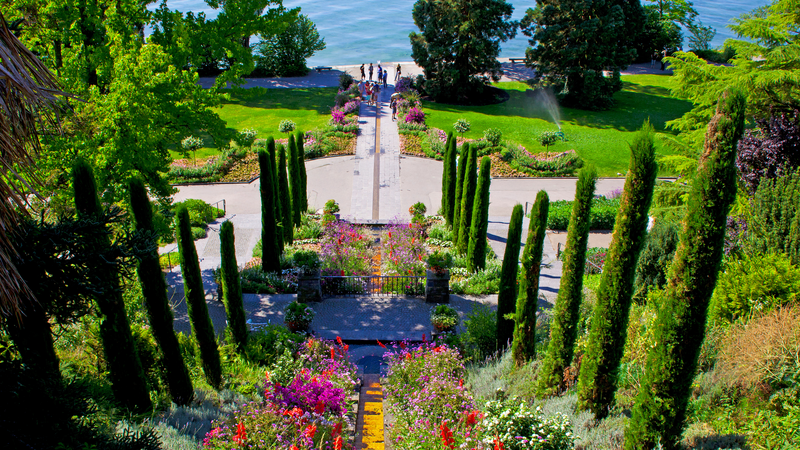 Swiss Alpine Gardens, Wildflowers & Rail Journeys