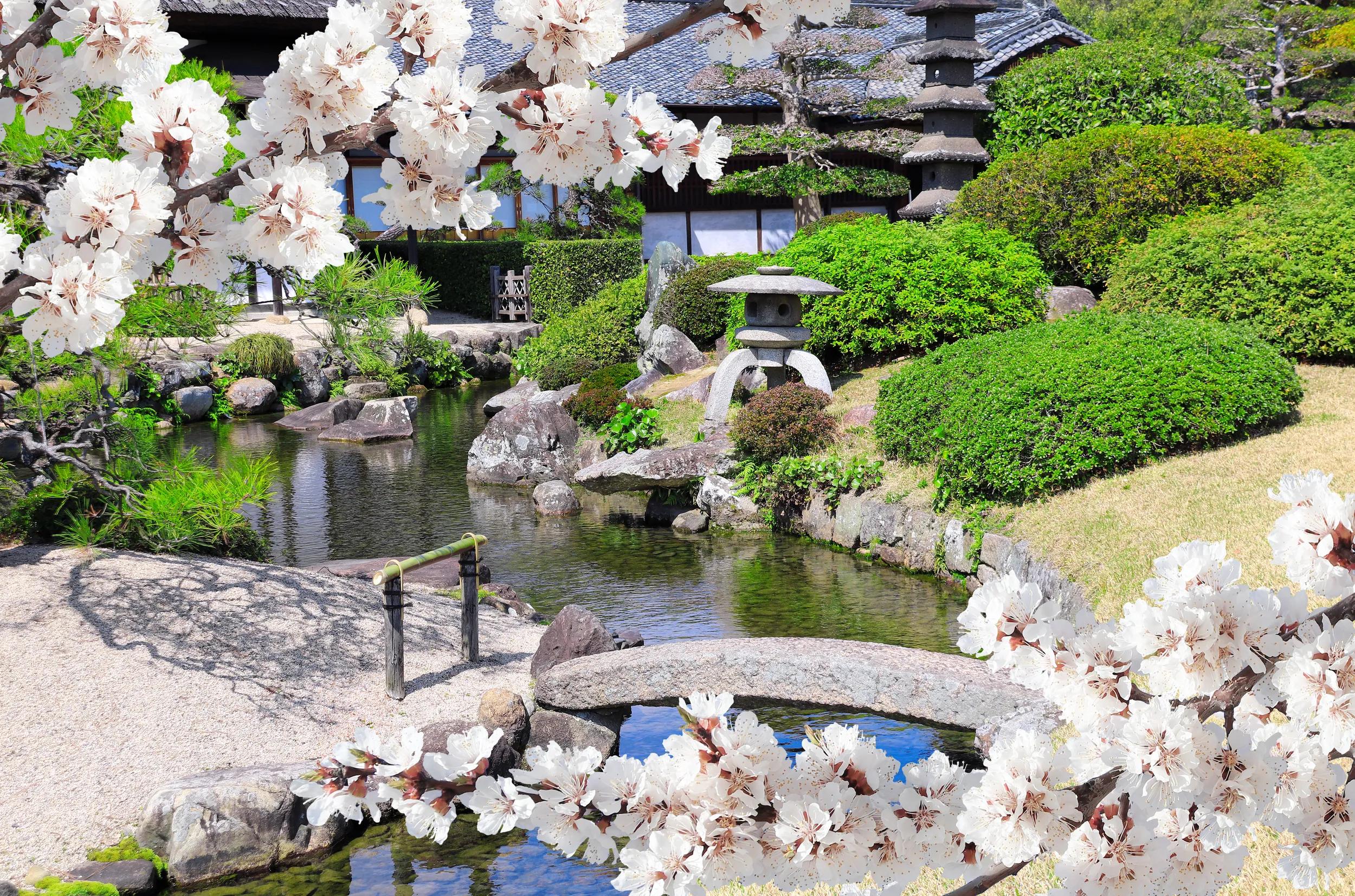Coastal Cruise of Japan & South Korea – Spring Gardens, Culture & History