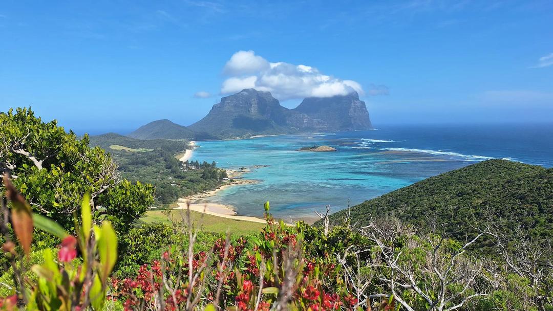 Walking Discoveries of Lord Howe Island’s Flora, Seabirds & Marine Life