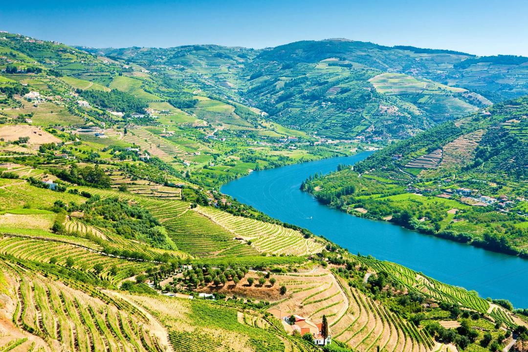 Portugal’s Palaces, Grand Gardens & Douro River Cruise