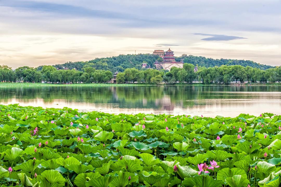 The Grandeur of China’s Gardens, History and Culture