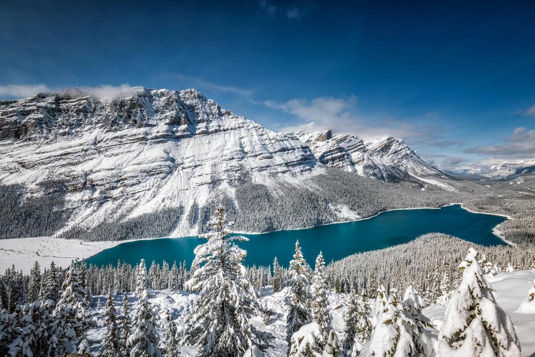 Rockies Winter Wonderland