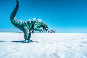 Okavango Delta and Deserts