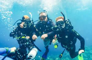 Great Barrier Reef Explorer