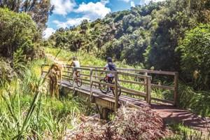 New Zealand: Northern Choice