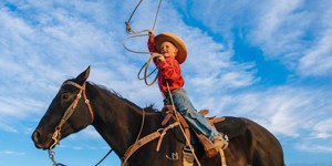Wild West, Cowboys and Buffalos