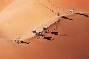 Namibia Adventure