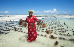Wonders of Kenya