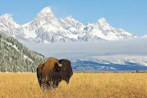 National Park Wonders