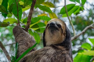 Highlights of Peru