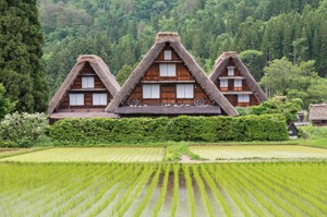 Splendours of Japan