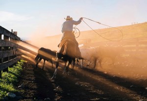 Western Frontiers