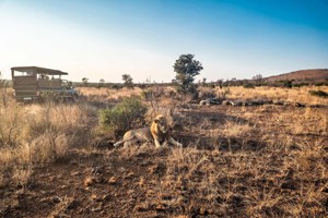 Best of South Africa