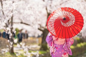 Classic Japan