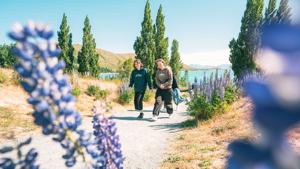 New Zealand: Sweet As South