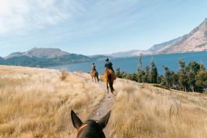 New Zealand Panorama