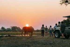 Victoria Falls and Botswana
