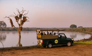 Cape, Safari and Falls