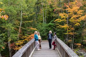 New England's Fall Foliage, a Women-Only Tour