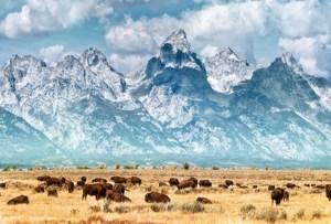 Five Epic National Parks