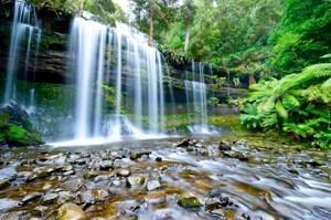 Perfect Tasmania