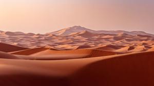 Culture and Coastlines in Morocco