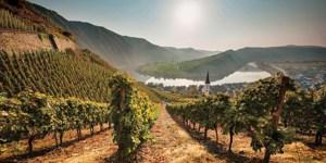 Best of Germany and Austria