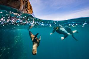 Galapagos Island Hopper