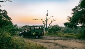 Cape, Safari and Falls 35 to 45