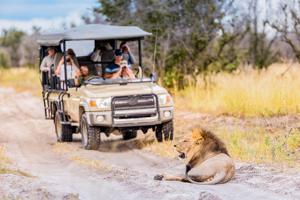 Southern Africa Safari 35 to 45