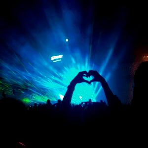 Sziget Festival Road Trip