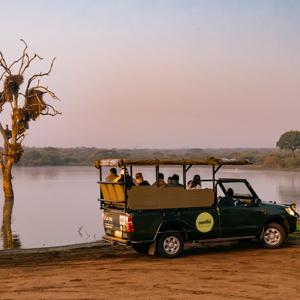 Cape, Safari and Falls